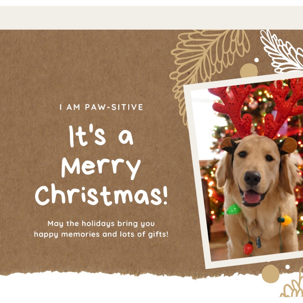 Holiday Greeting Cards - Picture 8 of 8